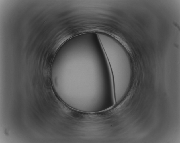 X0000092331281200709141110