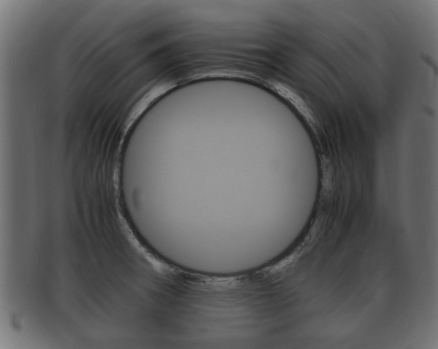 X0000092331282200709141110