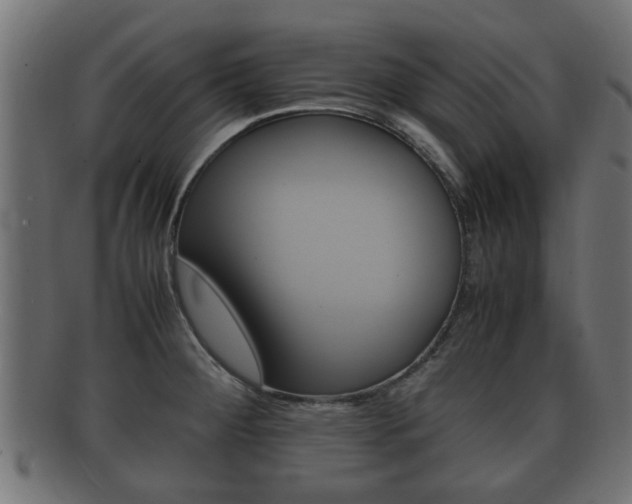 X0000092331284200709141110