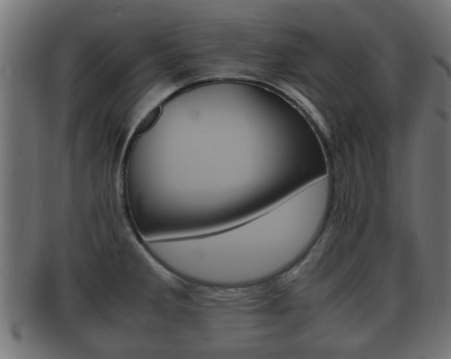 X0000092331285200709141110