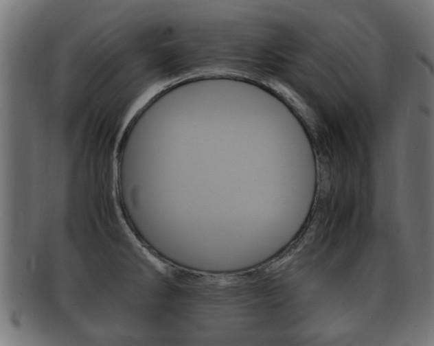 X0000092331286200709141110