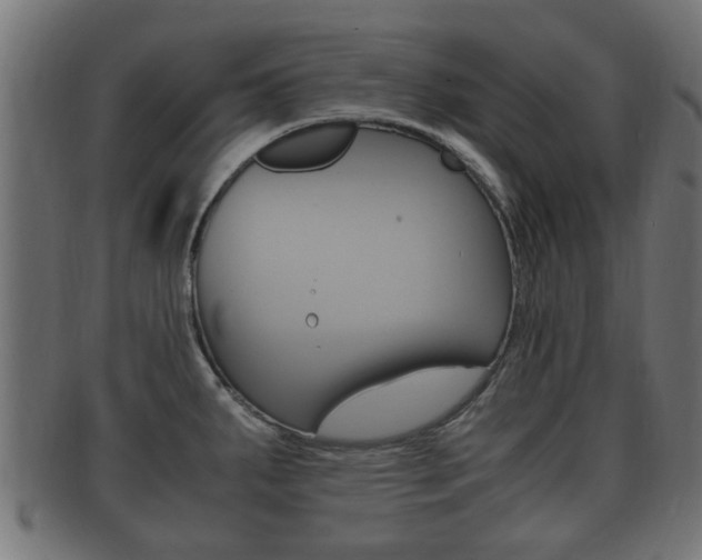 X0000092331287200709141110