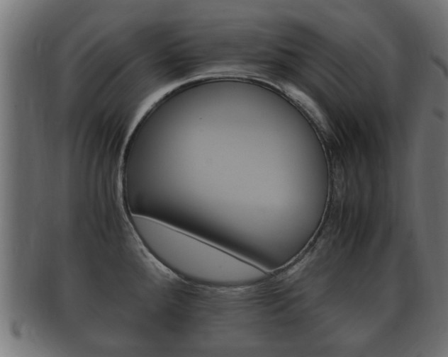 X0000092331288200709141110