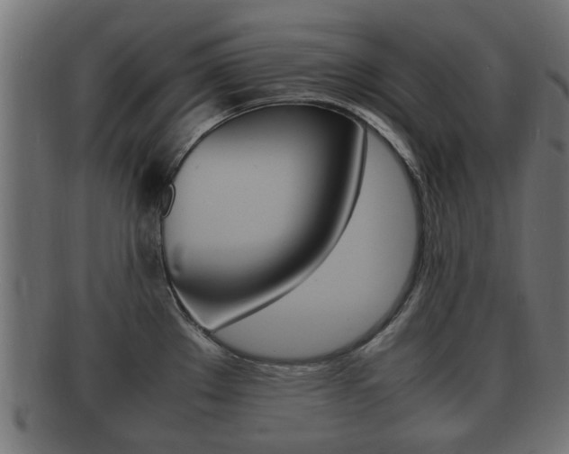 X0000092331289200709141110
