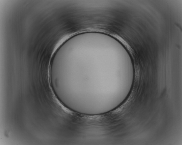 X0000092331294200709141110