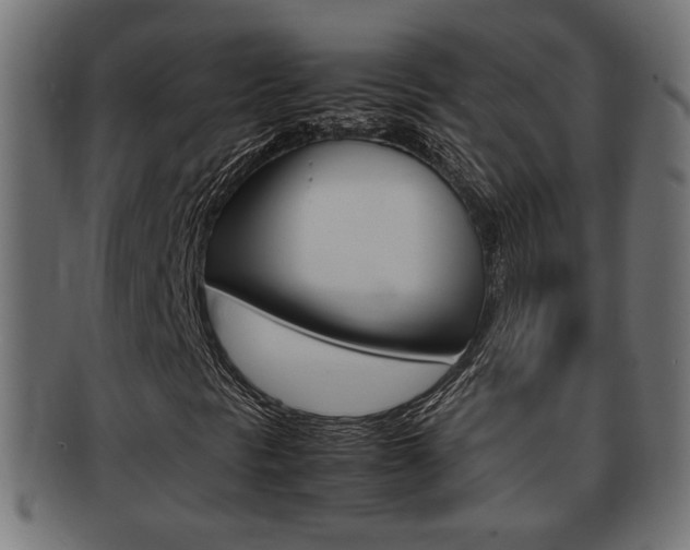 X0000092331297200709141109