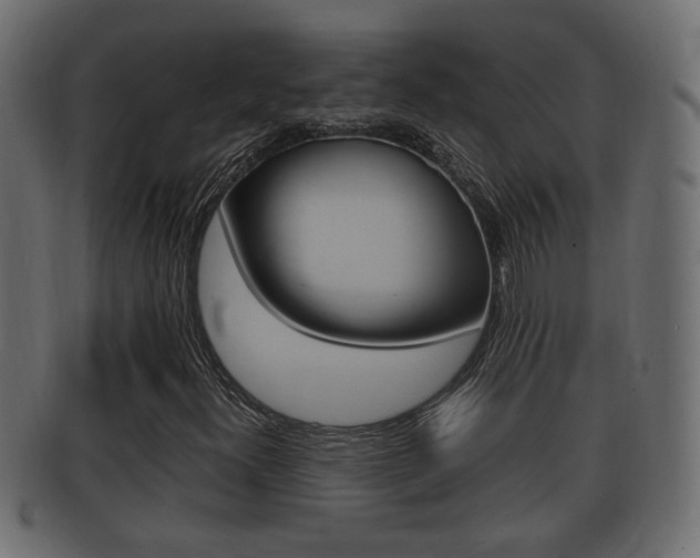 X0000092331300200709141109