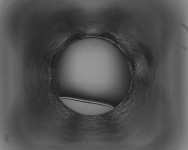 X0000092331301200709141109