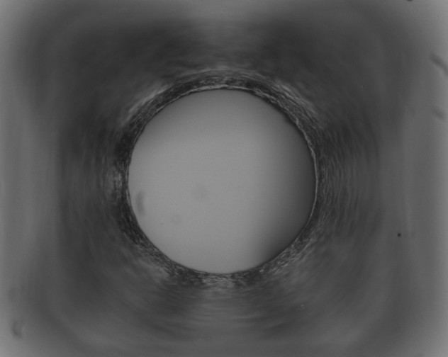 X0000092331302200709141109