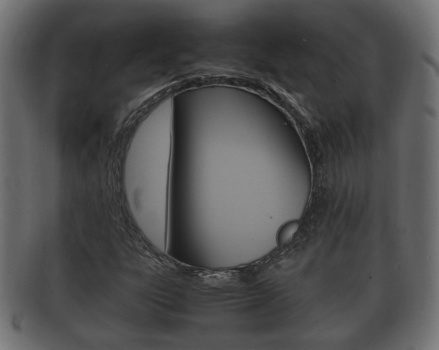 X0000092331303200709141109