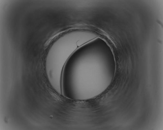 X0000092331304200709141109