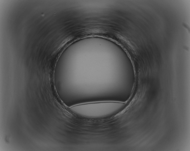 X0000092331305200709141109