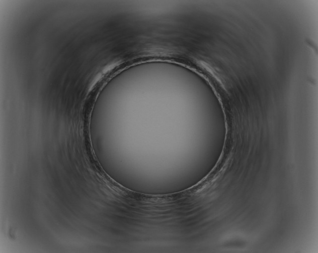 X0000092331307200709141109