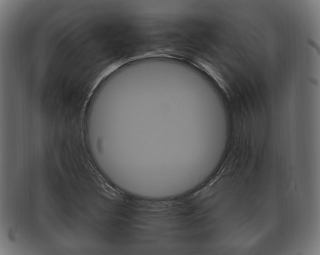 X0000092331308200709141109