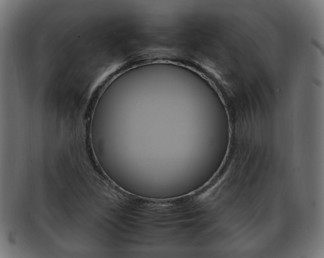X0000092331309200709141109