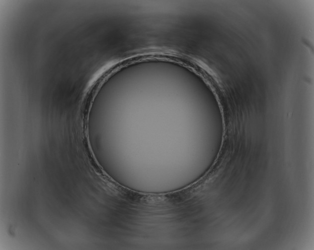 X0000092331310200709141109