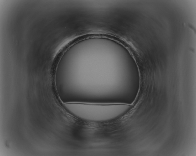 X0000092331311200709141109