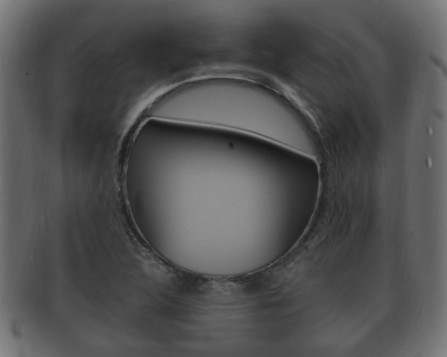 X0000092331312200709141109