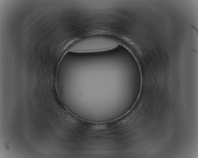 X0000092331313200709141109