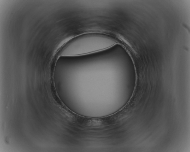 X0000092331315200709141109