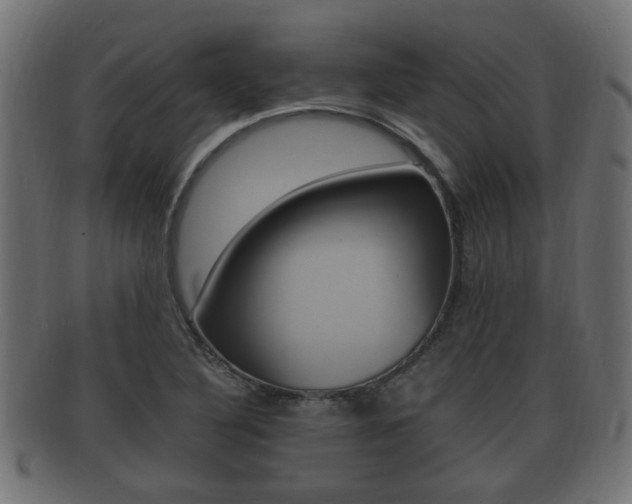 X0000092331316200709141109