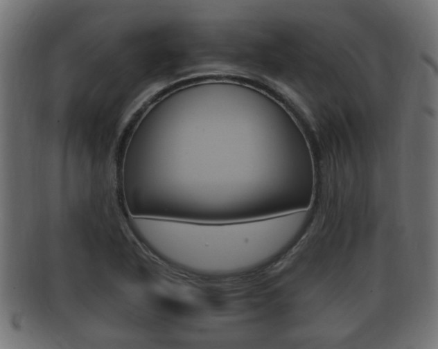 X0000092331318200709141109
