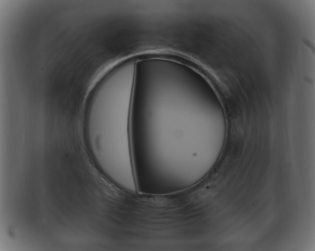 X0000092331319200709141109