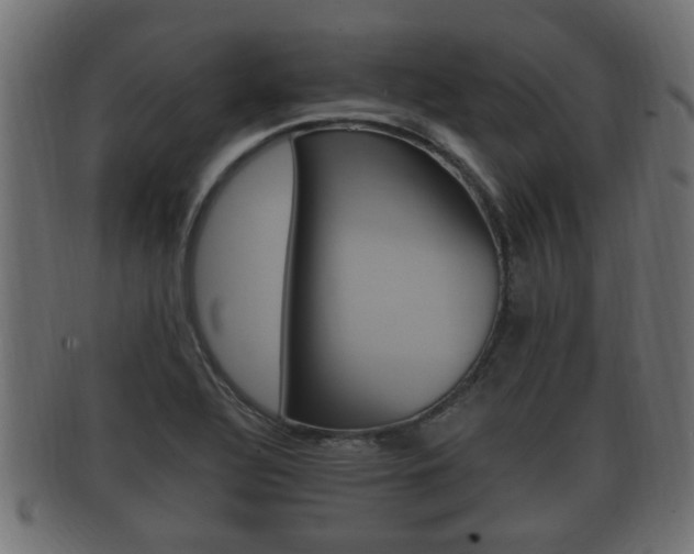 X0000092331320200709141109