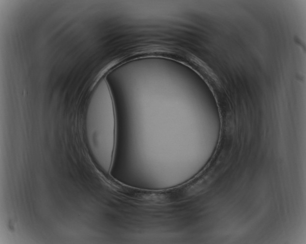 X0000092331321200709141109