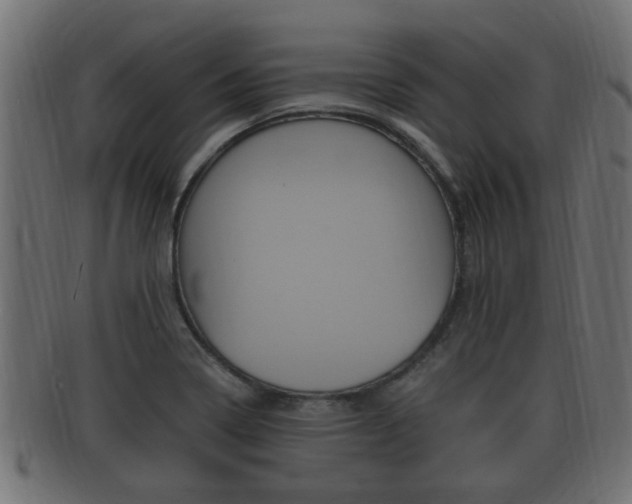 X0000092331322200709141109