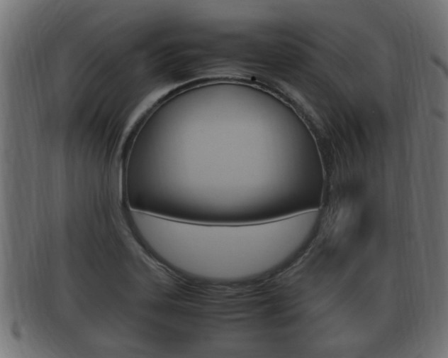 X0000092331323200709141109