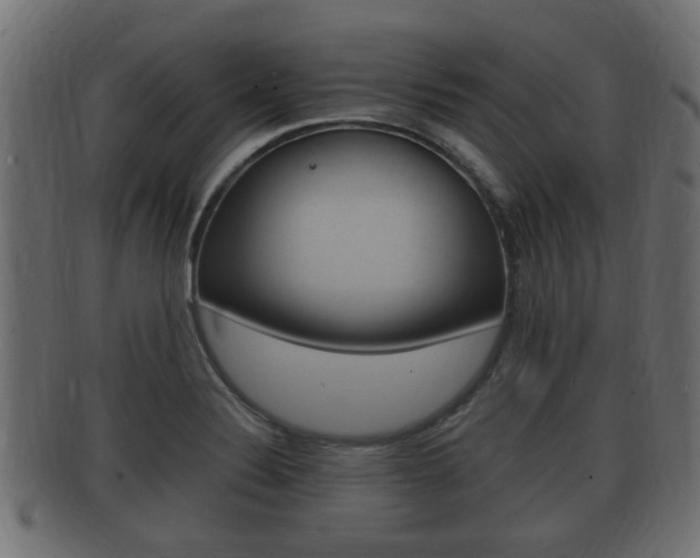 X0000092331324200709141109