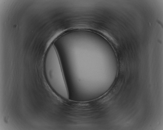X0000092331325200709141109