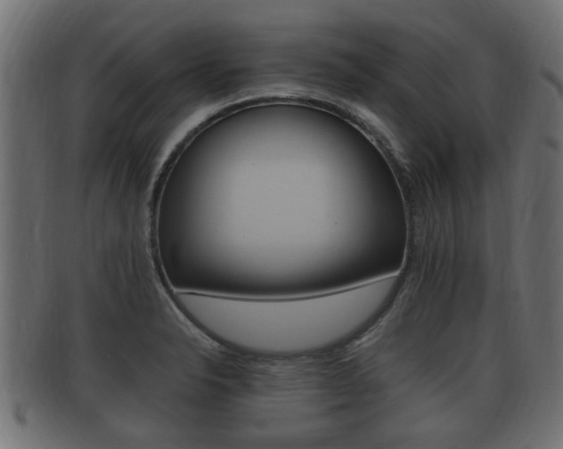 X0000092331326200709141110