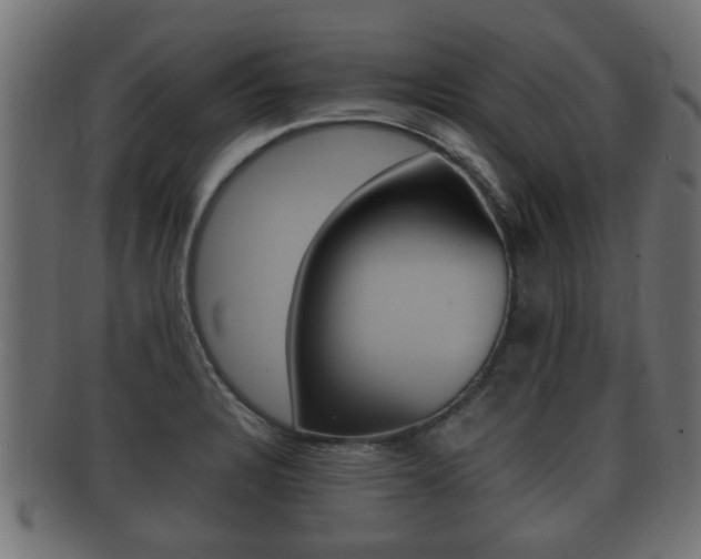 X0000092331328200709141110