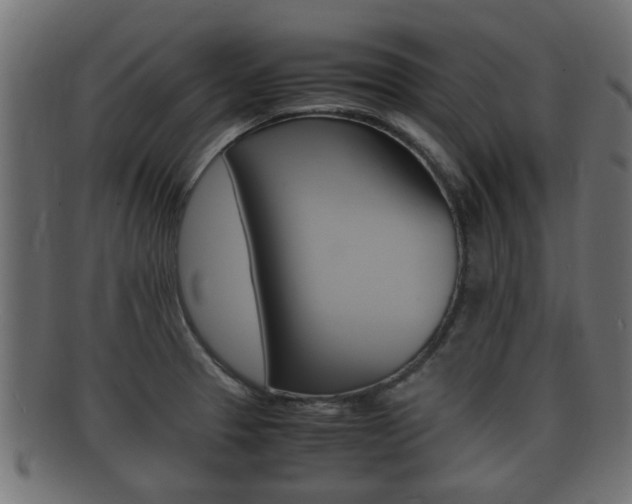X0000092331329200709141110