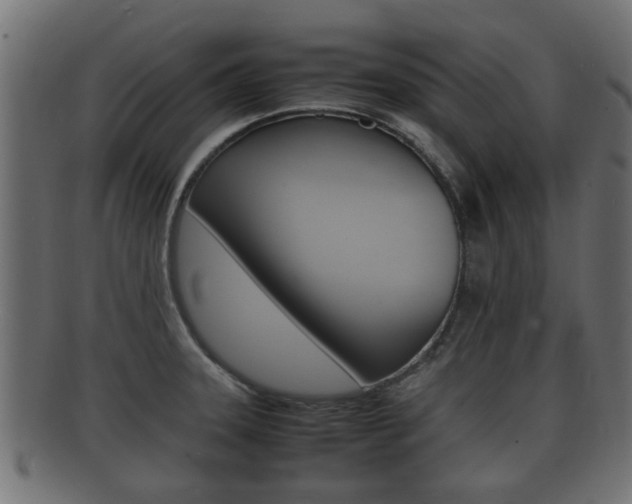 X0000092331331200709141110