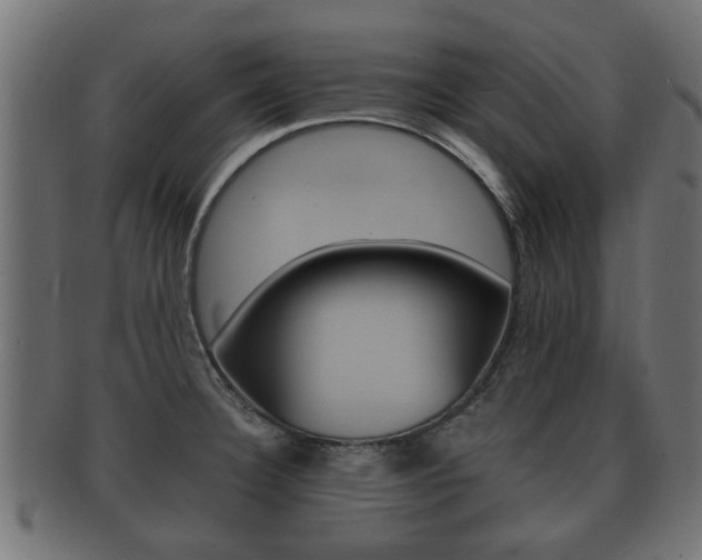 X0000092331332200709141110