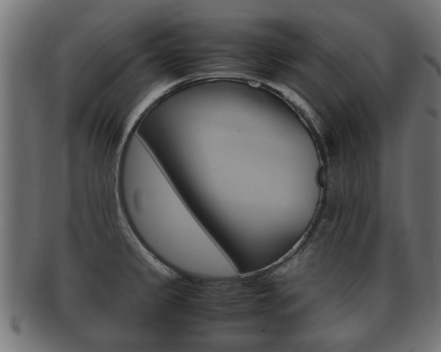 X0000092331333200709141110