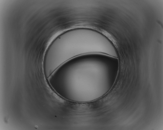 X0000092331334200709141110