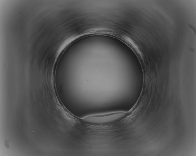 X0000092331336200709141110