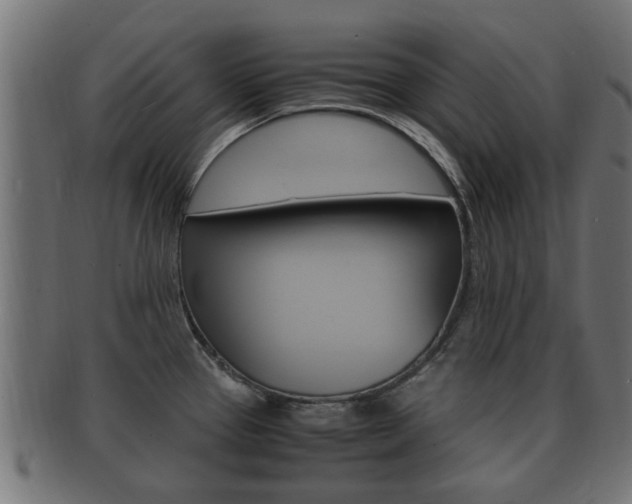 X0000092331337200709141110