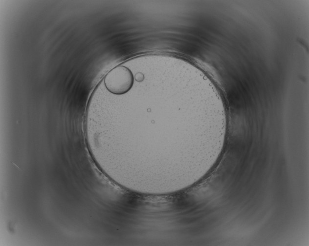 X0000092331338200709141110