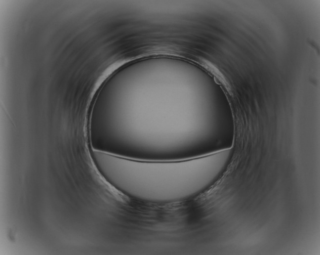 X0000092331339200709141110