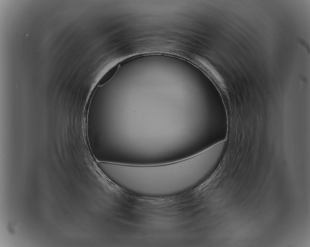 X0000092331340200709141110