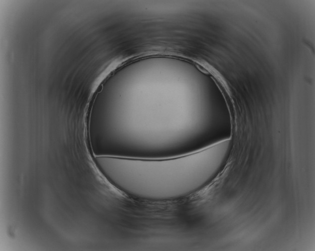 X0000092331341200709141110