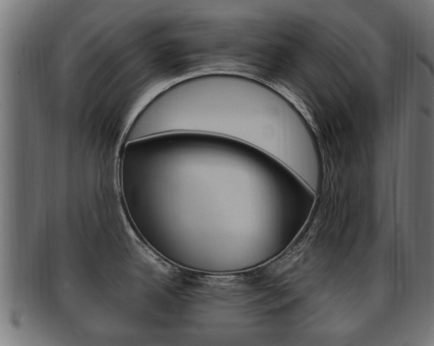 X0000092331342200709141110