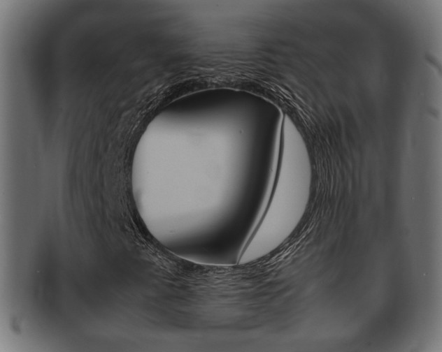 X0000092331345200709141109