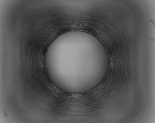 X0000092331346200709141109