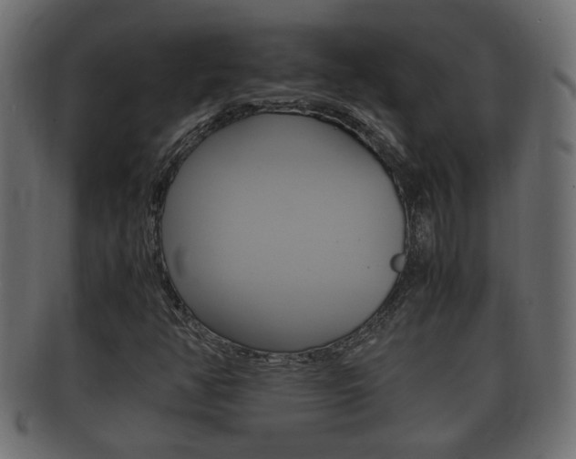 X0000092331350200709141109